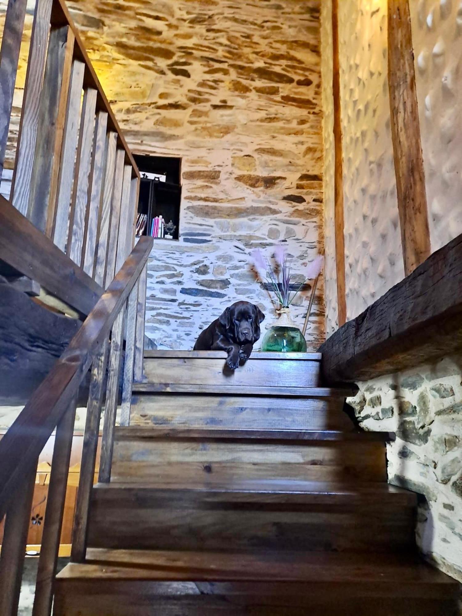 Casa Rural Bierzo Encantado Valle de Finolledo Eksteriør billede
